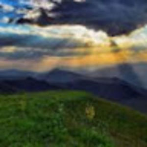 Meet your Posher, Bella